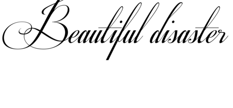 Header of beautifuldisaster