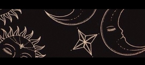 Header of blackbutterfly818