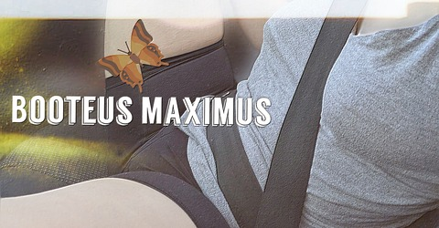 Header of booteus_maximus_vip