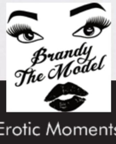 Header of brandythemodel