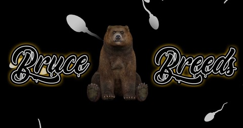 Header of brucebreeds