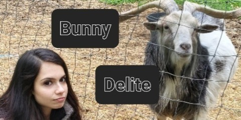 Header of bunnydelite