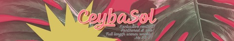 Header of ceybasol