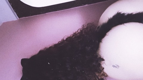 Header of curlyconnie