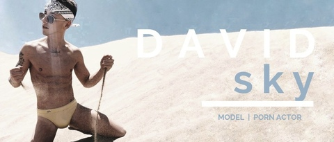 Header of davidsky