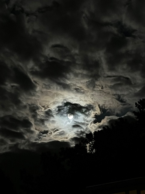 Header of dumbblondee06