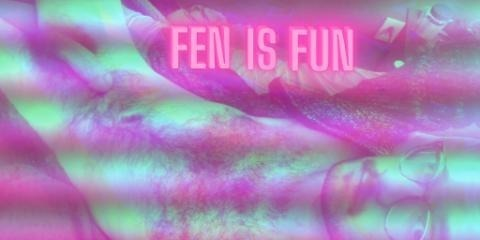 Header of fenisfun