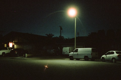 Header of ferny_nsfw