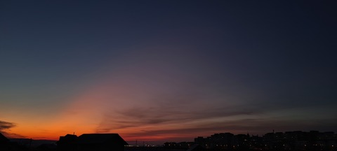 Header of irisalina22