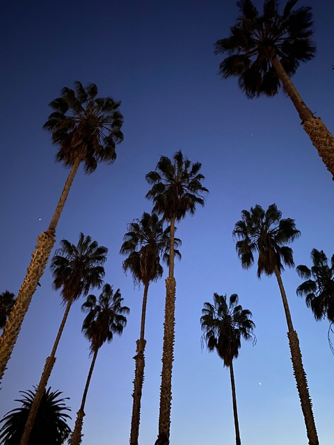 Header of isitreallymeh