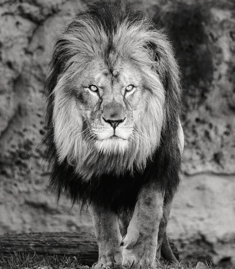 Header of johnchevalier