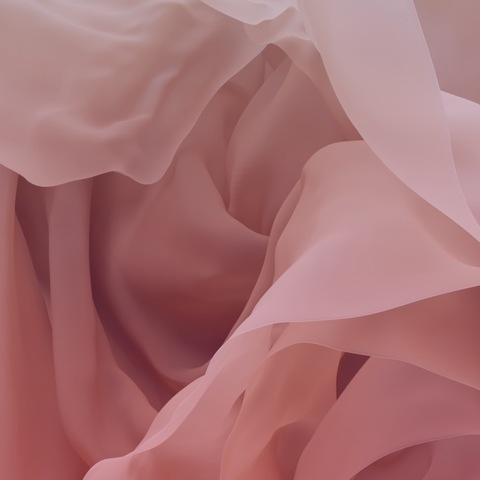 Header of josiephoenix