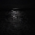 Download jujubee OnlyFans content for free 

 profile picture