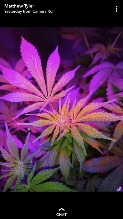 Header of katelyn_taylor_