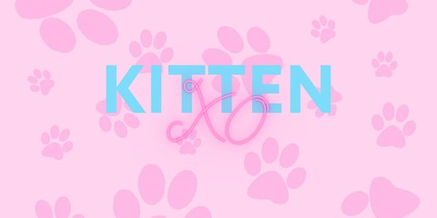 Header of kittens13408