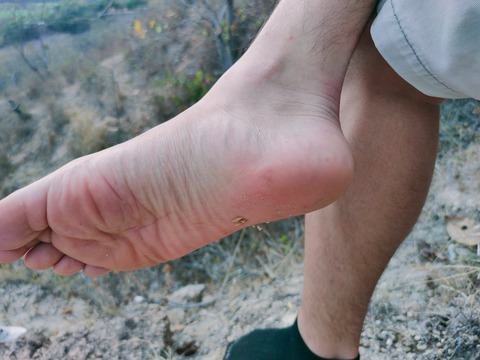 Header of latinnaturalfeet