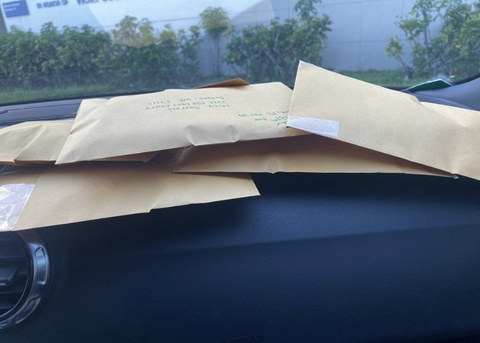 Header of lilmoneybunny