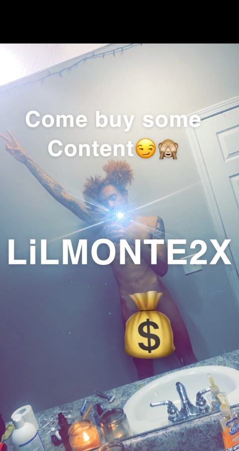 Header of lilmonte2x