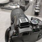 madeyoudrool OnlyFans Leaked 

 profile picture