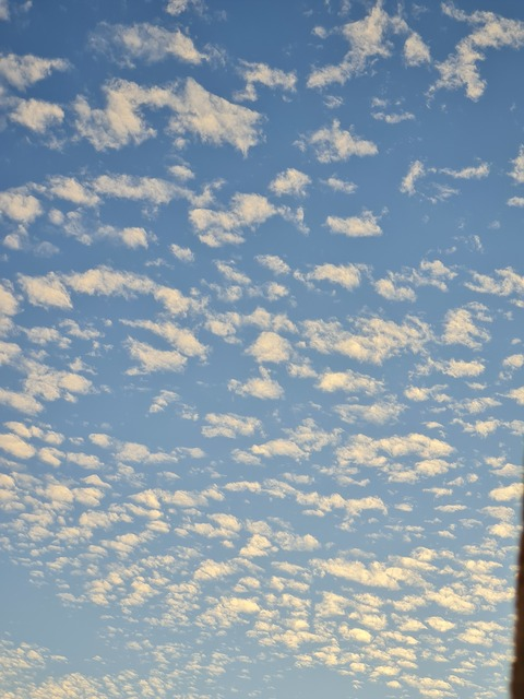 Header of mexicanfarter1