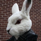 Onlyfans leaks mrbunnyproducer 

 profile picture