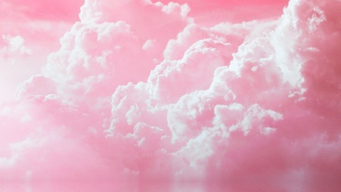 Header of pinktragedy