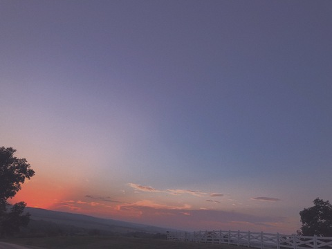 Header of psychoobear