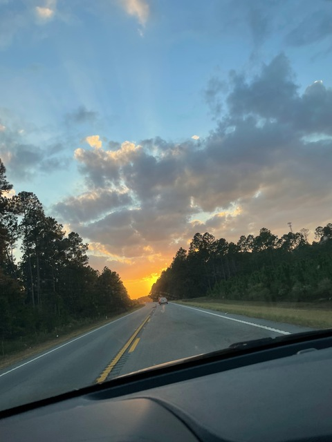 Header of sallysrevenge