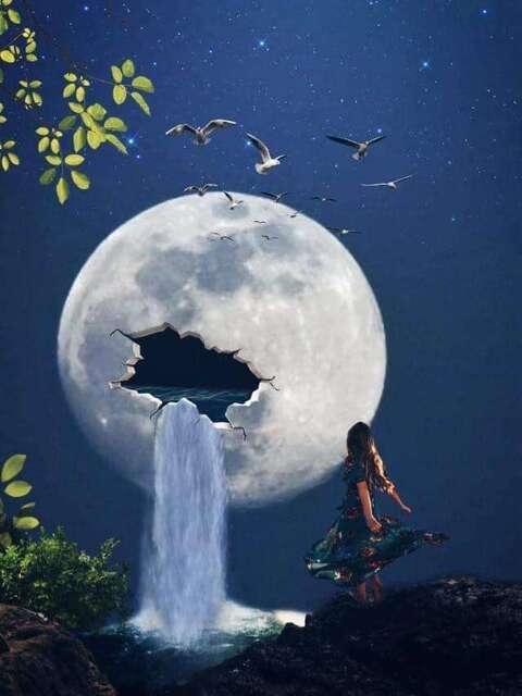 Header of sexyrose420