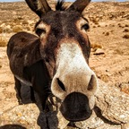 Onlyfans leaks smallcockproductions 

 profile picture