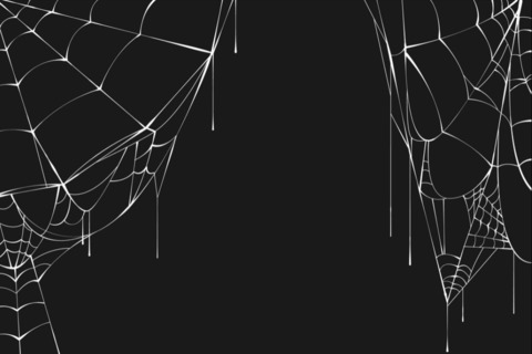 Header of spidertitsbxtch