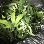 SirFucksAlot @steadylong Leak OnlyFans 

 profile picture