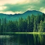 strawbs (mikey) OnlyFans Leaked Pictures & Videos 

 profile picture