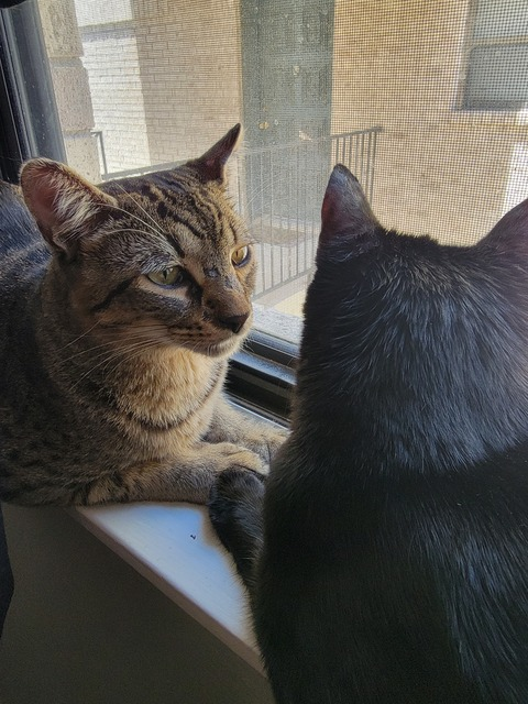 Header of tabmocjl70