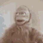 Onlyfans leaks tarzann 

 profile picture