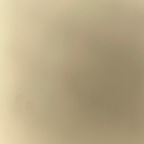 Download tashathrasher01 OnlyFans content for free 

 profile picture