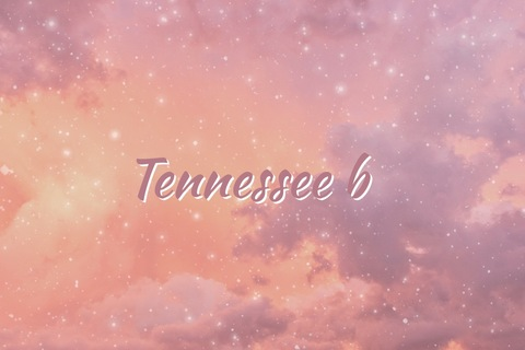 Header of tennesseeb20