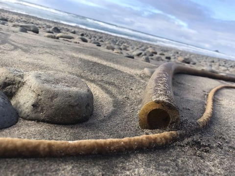 Header of thecatholicbrat