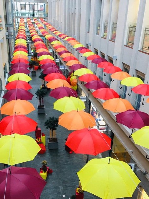 Header of thedimitry