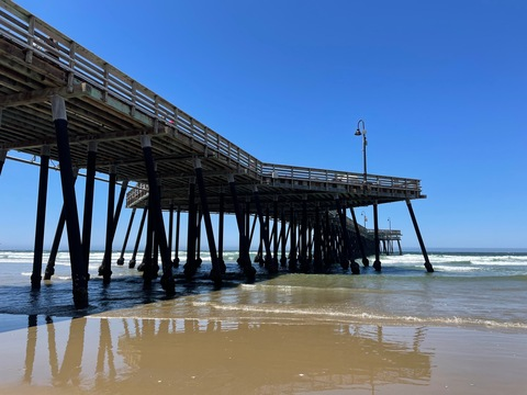 Header of theofficialrubyrose