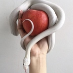 The snakes (thesnakes) Leaked OnlyFans 

 profile picture