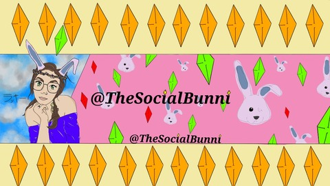 Header of thesocialbunni