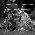 tigerandtigress (TigerandTigress) OnlyFans Leaks 

 profile picture