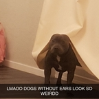 Download tinymaya OnlyFans leaks for free 

 profile picture