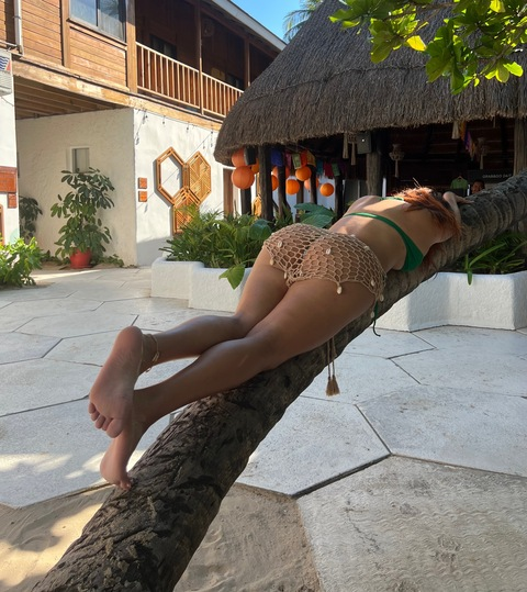 Header of tropicaldianna