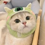 u186752268 (穿长筒袜的🐱 The boy in white socks) free OnlyFans Leaked Videos and Pictures 

 profile picture