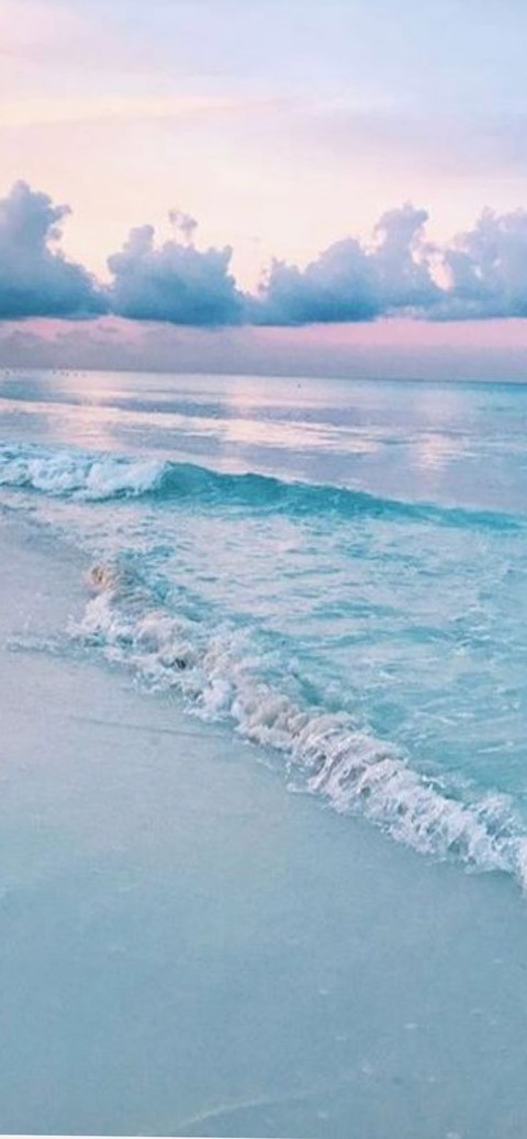 Header of u239283234