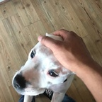 u52371903 (u52371903) free OnlyFans Leaked Videos and Pictures 

 profile picture