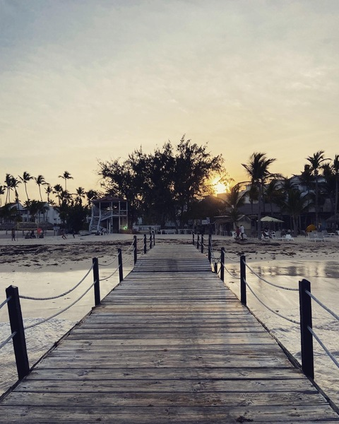 Header of white.curls
