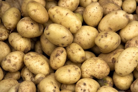 Header of wholepotato